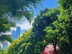 -南宁市凤岭儿童公园