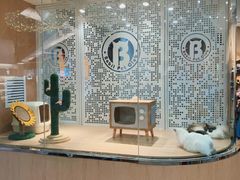 -BABIT巴比特宠物(MOMOPARK店)