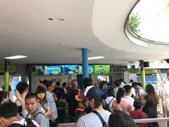 -圣淘沙天际线斜坡滑车