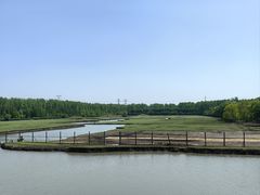 -溱湖国家湿地公园