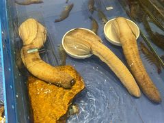 -山东八大碗山东老字号