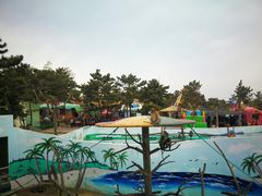 -西霞口神雕山野生动物世界