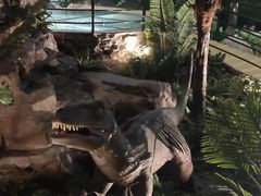 -陕西自然博物馆