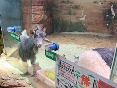 -正佳雨林生态植物园