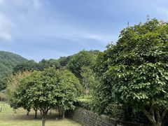 -桃花岭景区