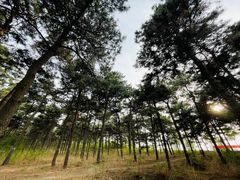 -北京西山国家森林公园