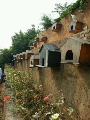 -焦作市妇幼保健院