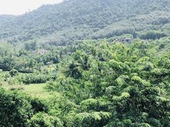 -海南槟榔谷黎苗文化旅游区