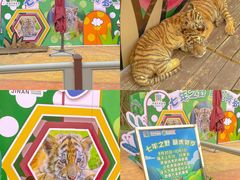 -济南野生动物世界