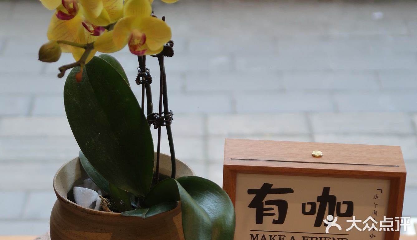 小学旁的咖啡店！合肥老城区！