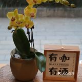 小学旁的咖啡店！合肥老城区！