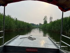 -白洋淀景区