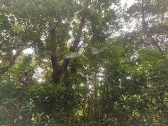 -广州锦绣香江度假别墅