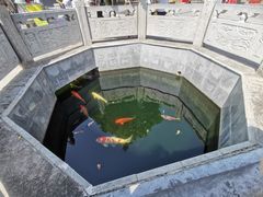 -西安市广仁寺