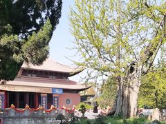 -苏州文庙(姑苏区)