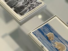 -罗红摄影艺术馆