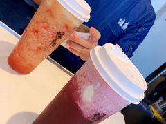 多肉葡萄-注春·荞麦奶茶(新天地旗舰店)