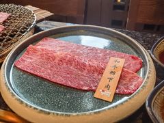 -老乾杯(深圳湾万象城店)