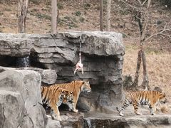 -宁波野生动物园