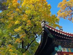 -香山公园