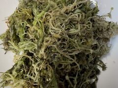 -三锅莊·牦牛肉火锅·香格里拉特色藏餐宴请餐厅(昆明创始店)