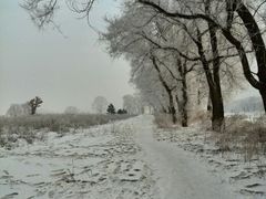 android_upload_pic-雾凇岛