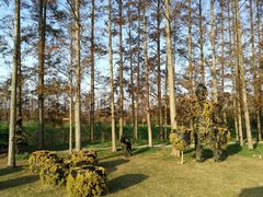 -上海长兴岛郊野公园