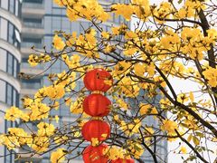 -洲头咀公园