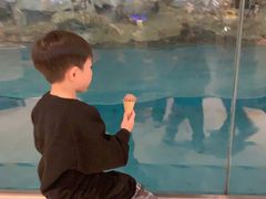 -帝企鹅自助餐厅•儿童岛•真企鹅(长隆企鹅酒店)