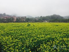 -红山村
