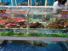 水产区-鑫悦楼煎蟹·16年海鲜大排档