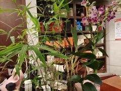 -沐春秋茶书院·茶室.茶馆.商务包房(知春路店)