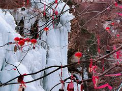 -黑龙潭风景区