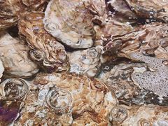 -老虎滩船说·海胆水饺·大连海鲜(老虎滩店)