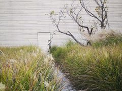 -南花桥羊肉馆老字号(乌镇店)