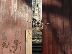 -上海佘山国家森林公园天马山园