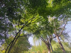 -云龙湖旅游景区