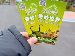 -森波拉奇妙世界