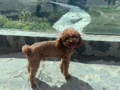 -雅鲁藏布江