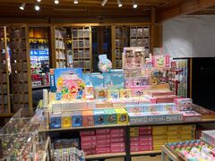 -猫的天空之城概念书店(丽江古城饮玉巷店)