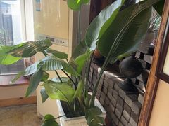 -慢丽江·云南野生菌土鸡锅(西山店)