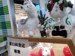 -Green Option(官舍店)