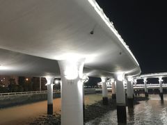 -演武大桥观景平台