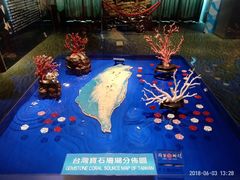-绮丽珊瑚(台北101旗舰门市店)