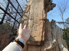 -石家庄市动物园