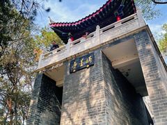 -青龙山国家森林公园