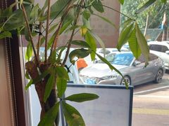 -六泰居·尔滨地标·东北菜(泰山路店)