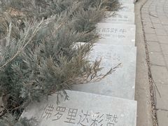 -北京麋鹿生态实验中心