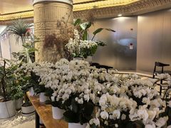 -上海月星家居(澳门路店)