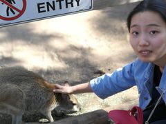 -费瑟代尔野生动物园